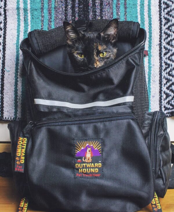 MOCHILA PORTA MASCOTAS