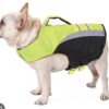 2026/06/1000276842.jpg FLOTADOR PARA MASCOTAS marca KONG