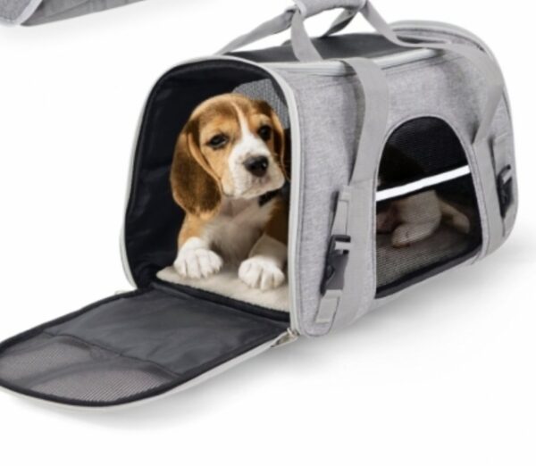 Bolso bolsa porta mascotas