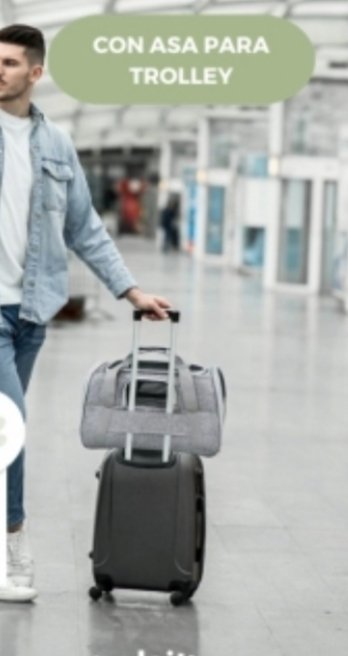 Bolso bolsa porta mascotas