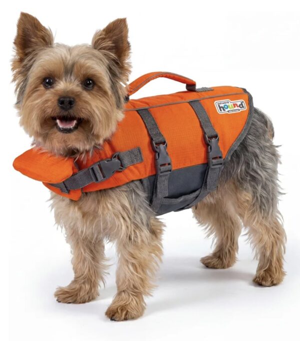 2026/09/1000353581.jpg Chaleco salvavidas flotador para perros de la marca Outward Hound talla S