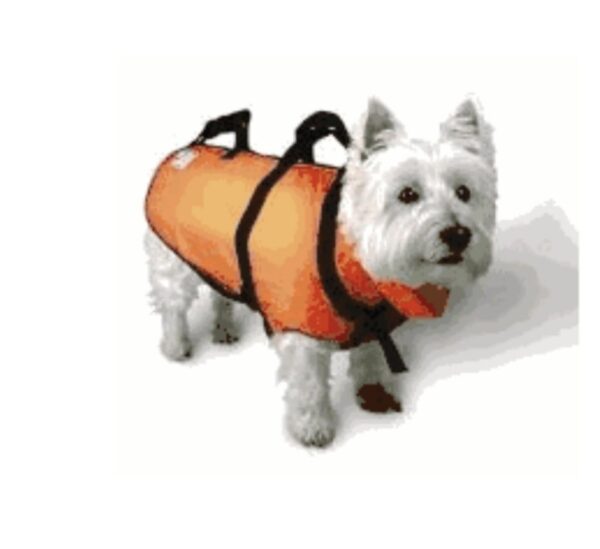 2026/09/1000353594.jpg chaleco salvavidas flotador para perros de la marca Fido Float talla XS