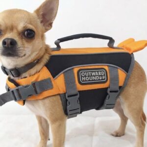 2026/09/1000353633.jpg Chalecos Salvavidas flotador para Perro Chihuahua Talla XXS