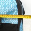 Bolso transportador para mascotas, porta mascotas en color azul